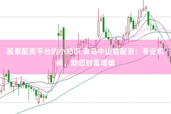 股票配资平台的小知识 青岛中山路配资：专业机构，助您财富增值