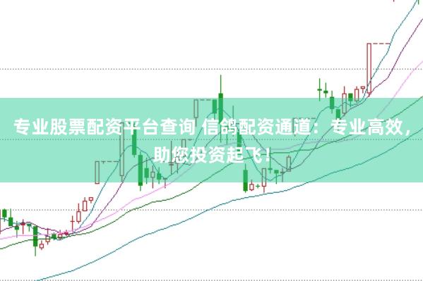 专业股票配资平台查询 信鸽配资通道：专业高效，助您投资起飞！