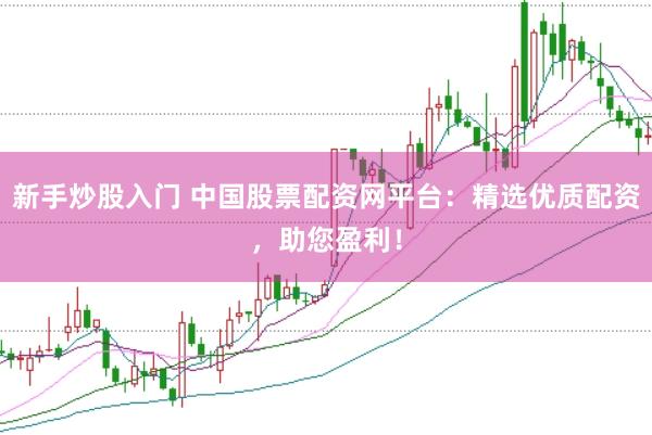 新手炒股入门 中国股票配资网平台：精选优质配资，助您盈利！