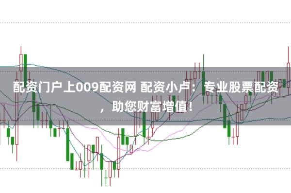 配资门户上009配资网 配资小卢：专业股票配资，助您财富增值！