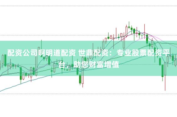 配资公司啊明道配资 世鼎配资：专业股票配资平台，助您财富增值