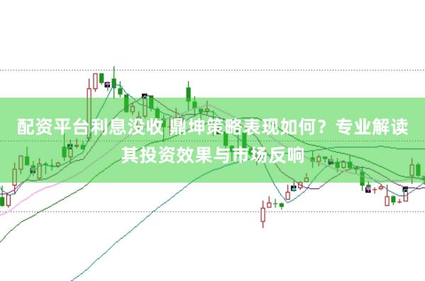 配资平台利息没收 鼎坤策略表现如何？专业解读其投资效果与市场反响