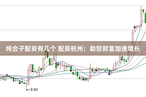 纯合子配资有几个 配资杭州：助您财富加速增长