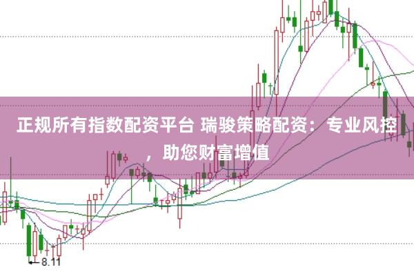 正规所有指数配资平台 瑞骏策略配资：专业风控，助您财富增值