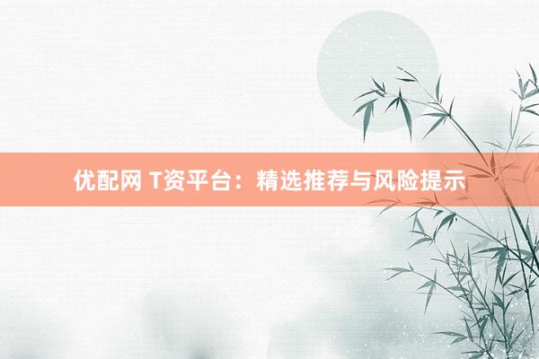 优配网 T资平台：精选推荐与风险提示