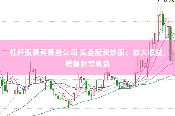 杠杆股票有哪些公司 实盘配资炒股：放大收益，把握财富机遇