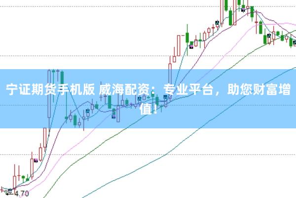 宁证期货手机版 威海配资：专业平台，助您财富增值！
