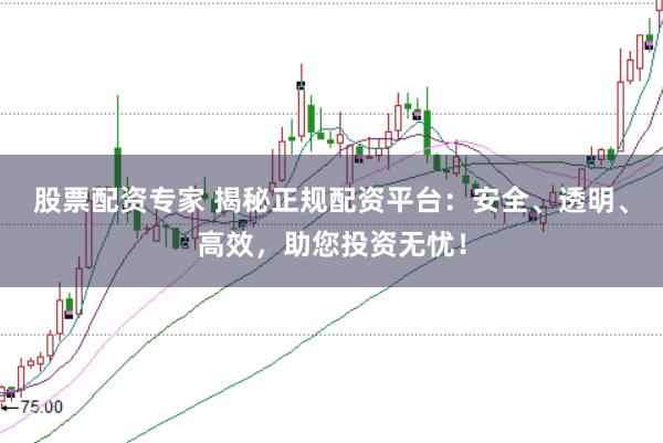股票配资专家 揭秘正规配资平台：安全、透明、高效，助您投资无忧！