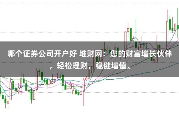 哪个证券公司开户好 堆财网:您的财富增长伙伴,轻松理财,稳健增值。