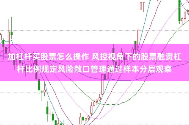 加杠杆买股票怎么操作 风控视角下的股票融资杠杆比例规定风险敞口管理通过样本分层观察