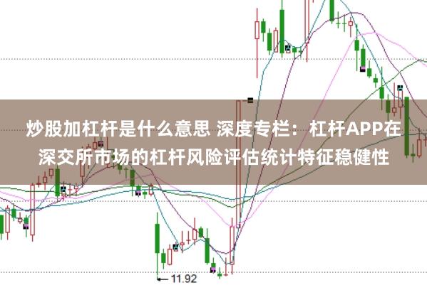 炒股加杠杆是什么意思 深度专栏：杠杆APP在深交所市场的杠杆风险评估统计特征稳健性