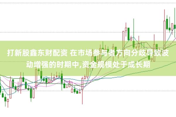 打新股鑫东财配资 在市场参与者方向分歧导致波动增强的时期中，资金规模处于成长期