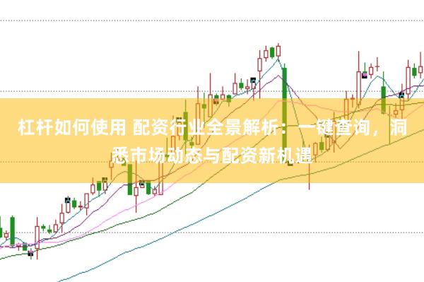 杠杆如何使用 配资行业全景解析:一键查询,洞悉市场动态与配资新机遇