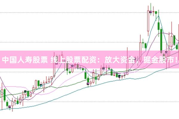 中国人寿股票 线上股票配资:放大资金,掘金股市!