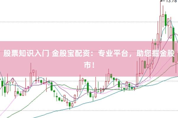 股票知识入门 金股宝配资:专业平台,助您掘金股市!