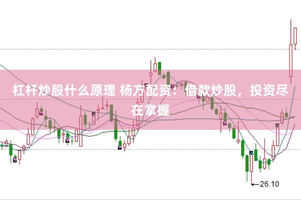 杠杆炒股什么原理 杨方配资:借款炒股,投资尽在掌握