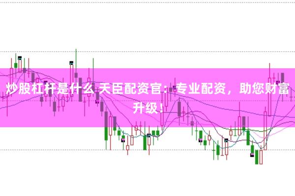 炒股杠杆是什么 天臣配资官：专业配资，助您财富升级！