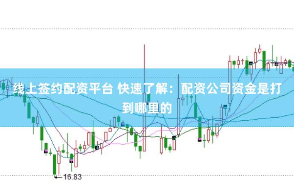线上签约配资平台 快速了解：配资公司资金是打到哪里的