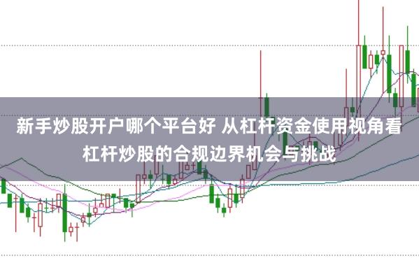 新手炒股开户哪个平台好 从杠杆资金使用视角看杠杆炒股的合规边界机会与挑战