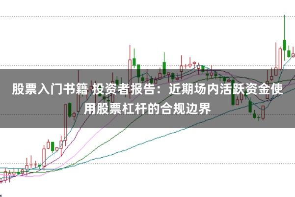 股票入门书籍 投资者报告：近期场内活跃资金使用股票杠杆的合规边界