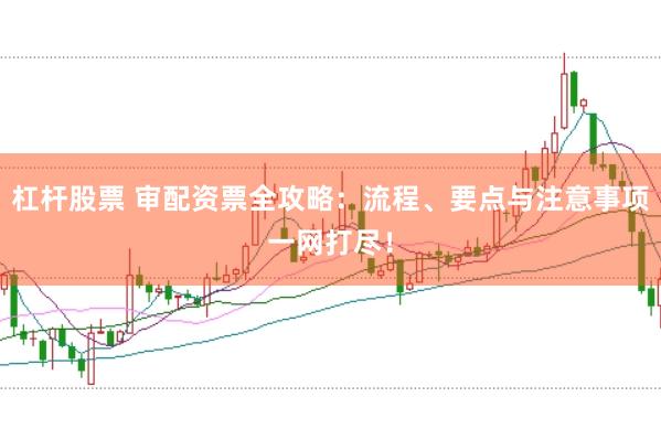 杠杆股票 审配资票全攻略：流程、要点与注意事项一网打尽！